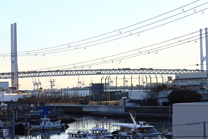 神戸深江つながり手帖|深江地区まちづくり協議会